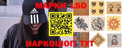 мдпв Новозыбков
