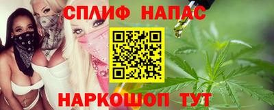 мдпв Новозыбков