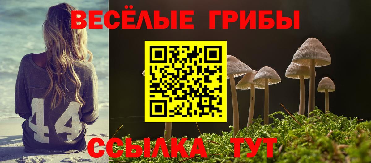 Псилоцибиновые грибы GOLDEN TEACHER  Галлюциногенные грибы GOLDEN TEACHER  Урай  Вход с VPN 